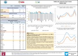 Índices de comercio al por menor ENERO 2024