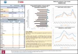 Índices de comercio al por menor FEBRERO 2025