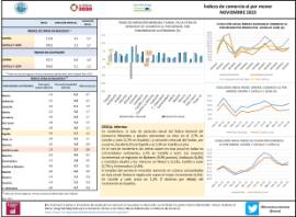 Índices de comercio al por menor NOVIEMBRE 2023