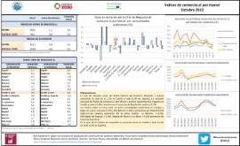 Índices de comercio al por menor [Octubre 2022]