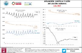 Infografía Afiliación agraria CyL [julio 2021]