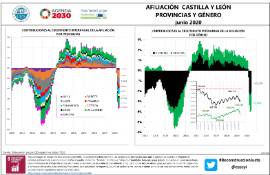 Infografía Afiliación CyL, Provincias y género [junio 2020]