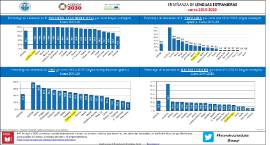 Infografía Enseñanza de lenguas extranjeras [curso 2019-2020]