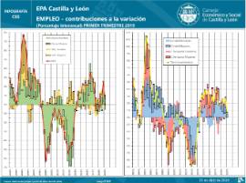 Infografía. EPA Castilla y León. Contribuciones a la variación del empleo [IT 2019]