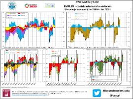 EPA Castilla y León EMPLEO - contribuciones a la variación (Porcentaje interanual) 1er T2009 - 3er T2021