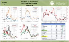 Infografía-Evolución de la licitación C y L y España [Enero 2019]
