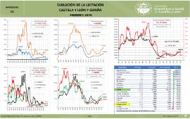 Infografía. Evolución de la licitación Castilla y León y España [Febrero 2019]