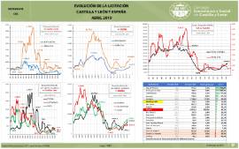 Infografía. Evolución de la Licitación CYL y España [Abril 2019]