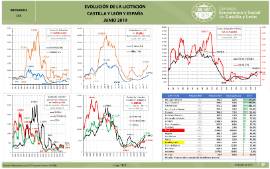 Infografía. Evolución de la licitación CyL España [Junio 2019