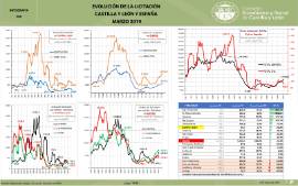 Infografía. Evolucion de la licitación CyL y España [Marzo 2019]