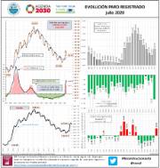 INFOGRAFÍA. Paro registrado [Julio 2020]