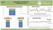 Infografía. Pensiones contributivas [1 de enero 2019]