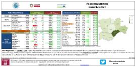 Paro Registradi diciembre 2021