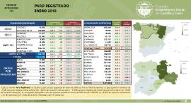 Paro registrado [Enero 2018]