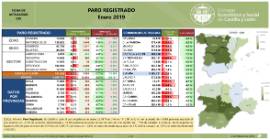 Paro Registrado [Enero 2019]