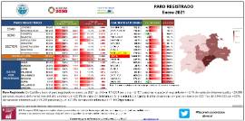 Paro registrado [Enero 2021]