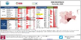 Paro registrado [noviembre 2020]
