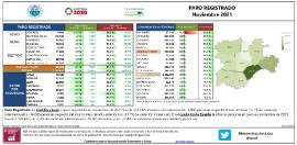 Paro registrado [Noviembre 2021]