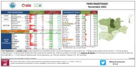 PARO REGISTRADO [Noviembre 2022]