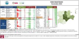 PARO REGISTRADO Noviembre 2024