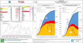 Situación epidemiológica covid -19 (hasta 14 de mayo de 2020)