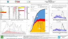Situación epidemiológica covid -19 (datos a 21 de mayo de 2020