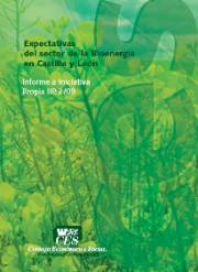 Informe a Iniciativa Propia sobre Expectativas del Sector de la Bioenergía en Castilla y León