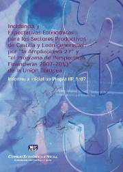 Informe a Iniciativa Propia sobre la incidencia y expectativas económicas para los sectores productivos de Castilla y León generadas por la ampliación a 27 y el programa de perspectivas financieras 2007-2013 de la Unión Europea