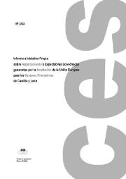 Informe a Iniciativa Propia sobre Repercusiones y Expectativas Económicas generadas por la Ampliación de la UE en los Sectores Productivos de Castilla y León