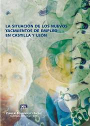 Informe a Iniciativa Propia sobre La Situación de los Nuevos Yacimientos de Empleo en Castilla y León